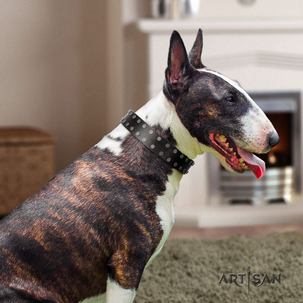 Bull Terrier stylish walking dog collar of exquisite quality natural leather