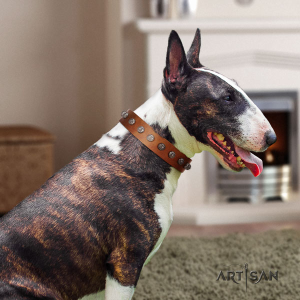 Bull Terrier walking dog collar of designer genuine leather