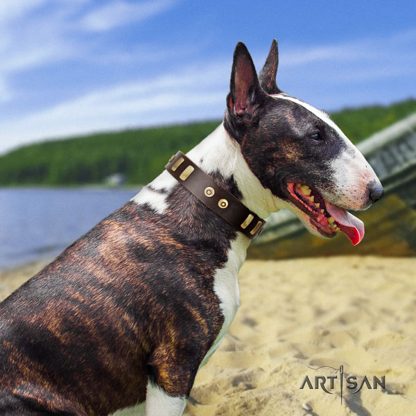 Bull Terrier daily use dog collar of significant quality genuine leather