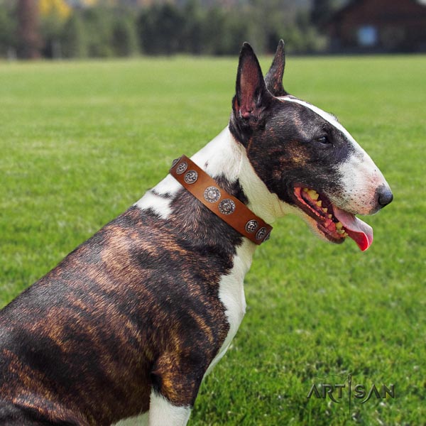 Bull Terrier handy use dog collar of fine quality leather