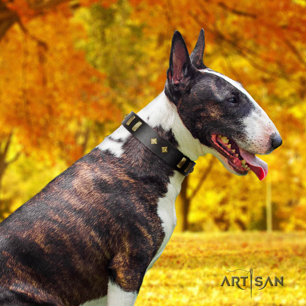 Bull Terrier adorned full grain leather dog collar with adornments