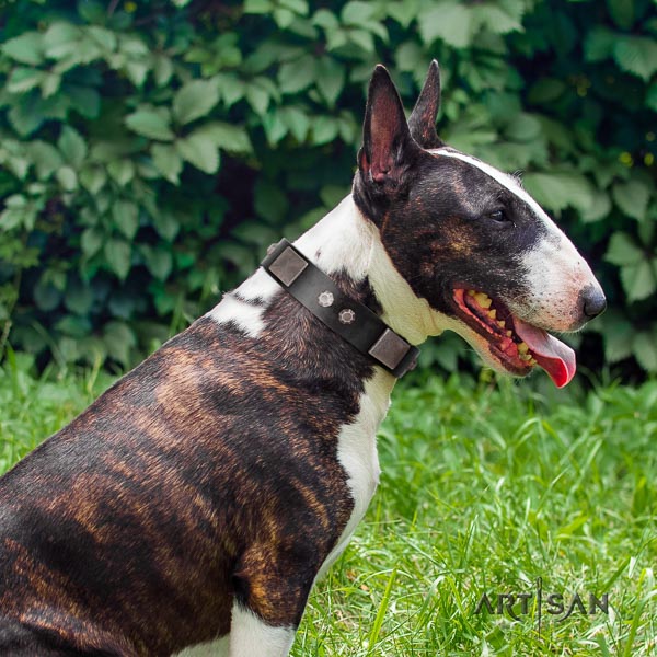Bull Terrier everyday use dog collar of flexible leather