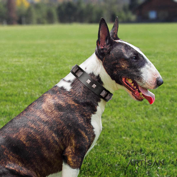 Bull Terrier comfortable wearing dog collar of soft natural leather