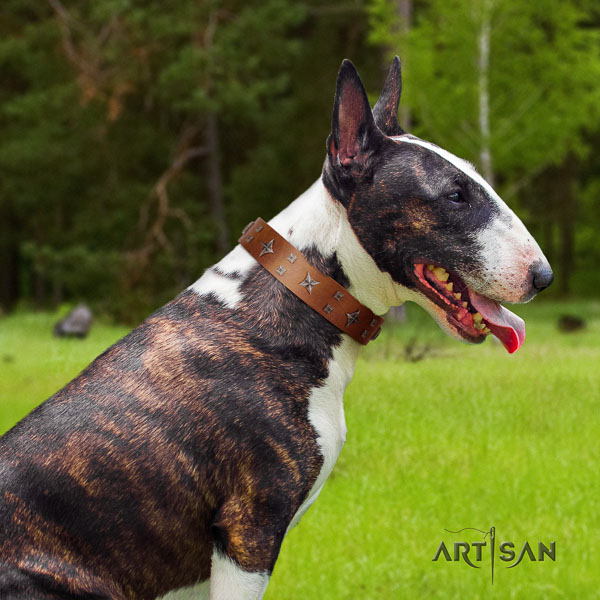 Bull Terrier stylish walking dog collar of remarkable quality genuine leather