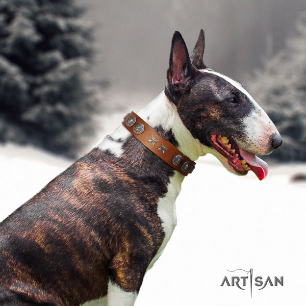 Bull Terrier stylish walking dog collar of comfortable genuine leather