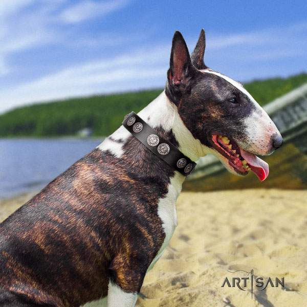 Bull Terrier walking dog collar of fine quality genuine leather