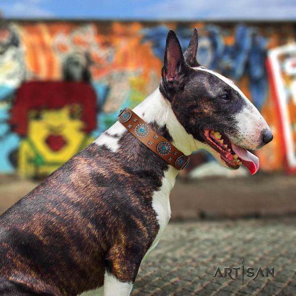 Bull Terrier comfortable wearing dog collar of fine quality genuine leather