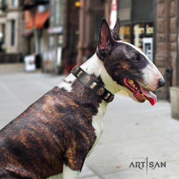 Bull Terrier fashionable natural genuine leather dog collar with studs