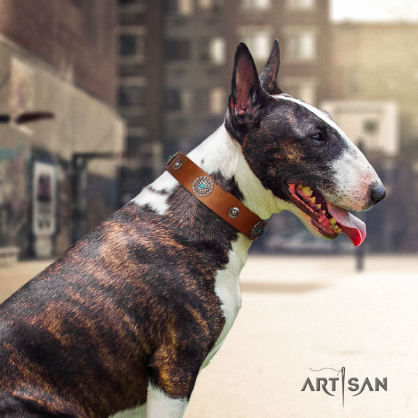 Bull Terrier easy wearing dog collar of best quality genuine leather