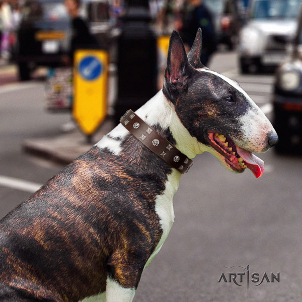 Bull Terrier easy wearing dog collar of awesome quality genuine leather