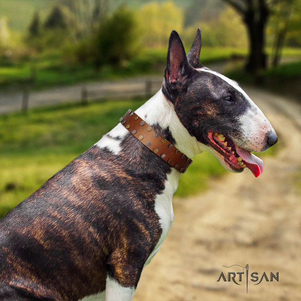 Bull Terrier inimitable natural genuine leather dog collar with embellishments