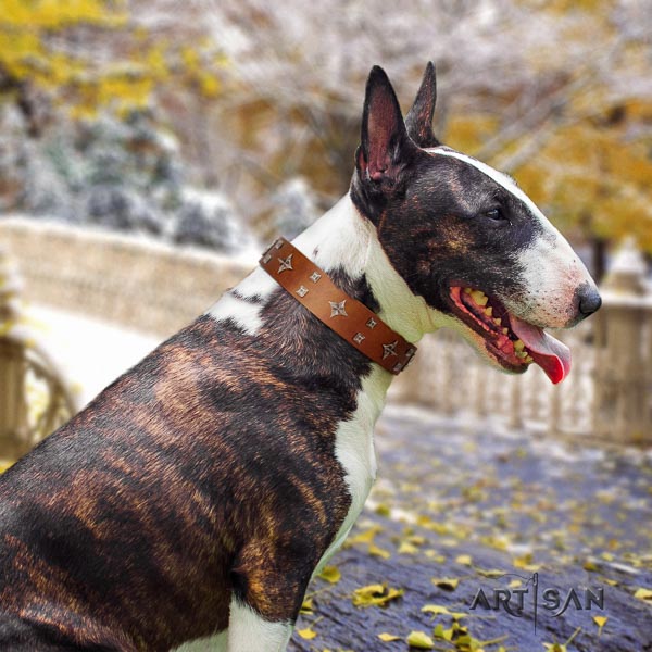Bull Terrier fancy walking dog collar of extraordinary quality natural leather