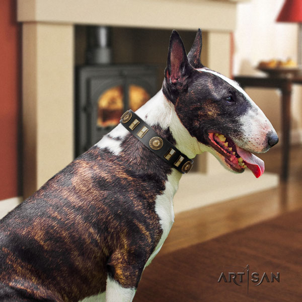 Bull Terrier adorned leather dog collar with studs