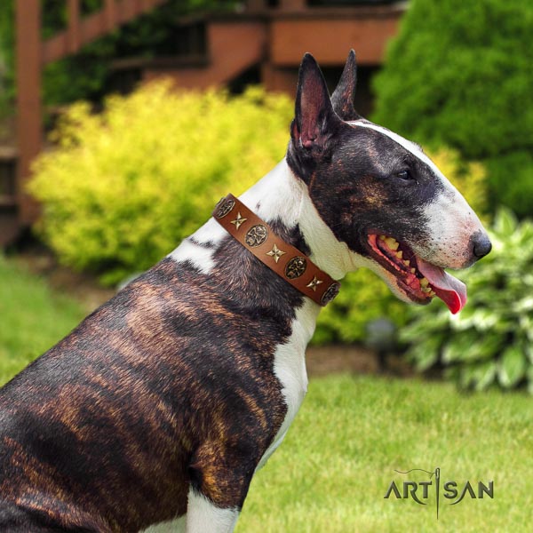 Bull Terrier adjustable full grain natural leather dog collar with adornments