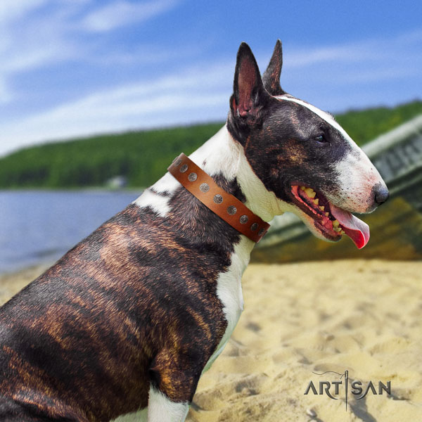 Bull Terrier handy use dog collar of awesome quality natural leather