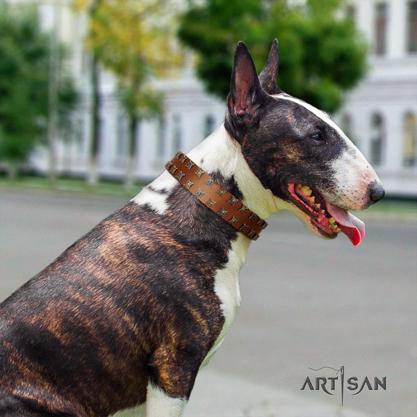 Bull Terrier unique full grain genuine leather dog collar with adornments