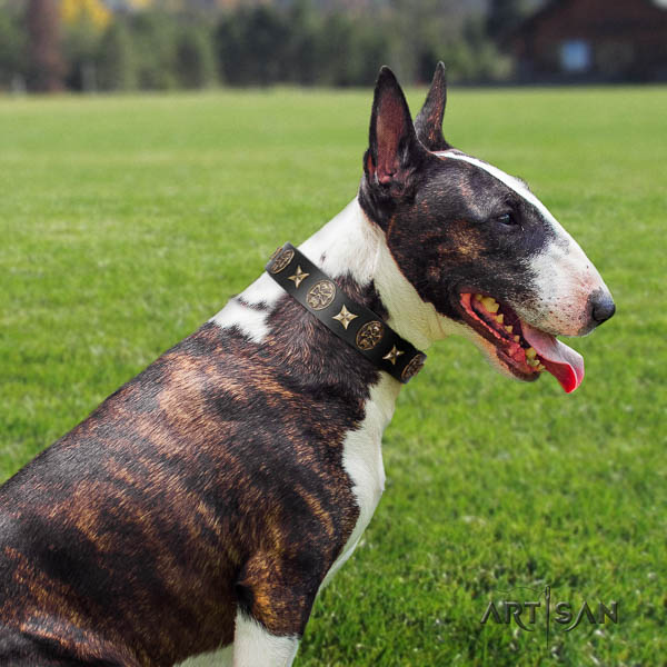 Bull Terrier decorated leather dog collar with adornments