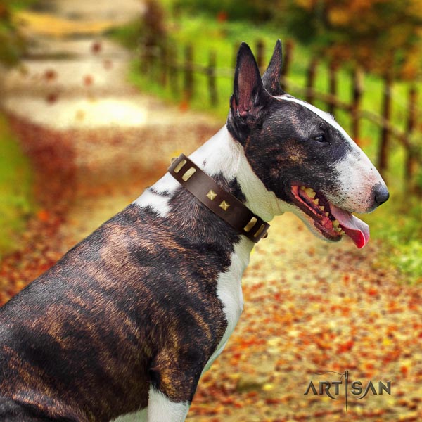 Bull Terrier comfy wearing dog collar of best quality leather