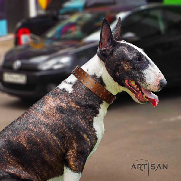 Bull Terrier stylish walking dog collar of fine quality genuine leather