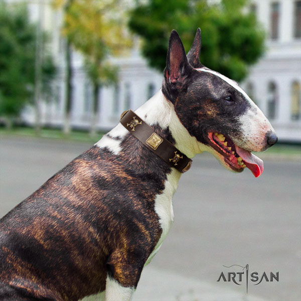 Bull Terrier significant genuine leather dog collar with adornments
