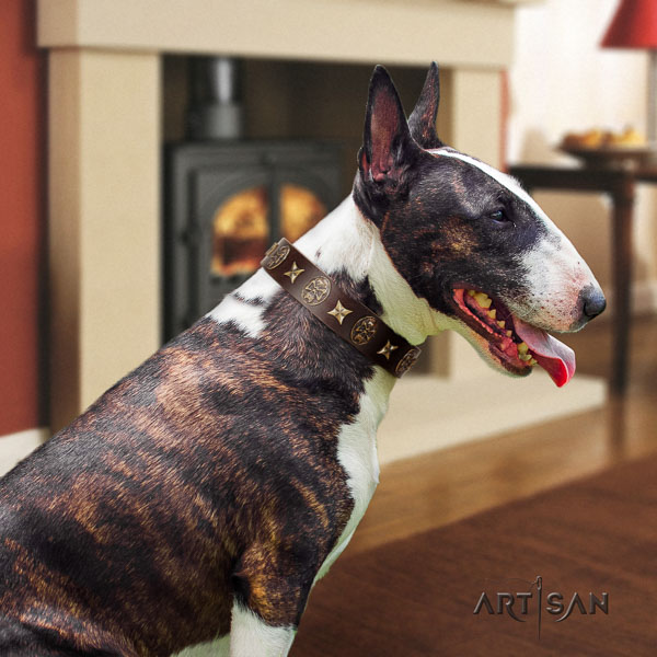 Bull Terrier easy adjustable full grain natural leather dog collar with embellishments
