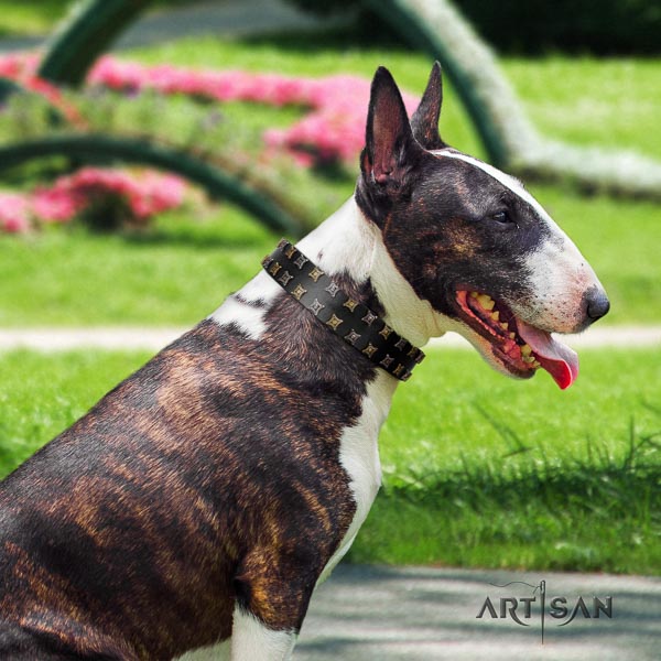 Bull Terrier handmade full grain leather dog collar with adornments