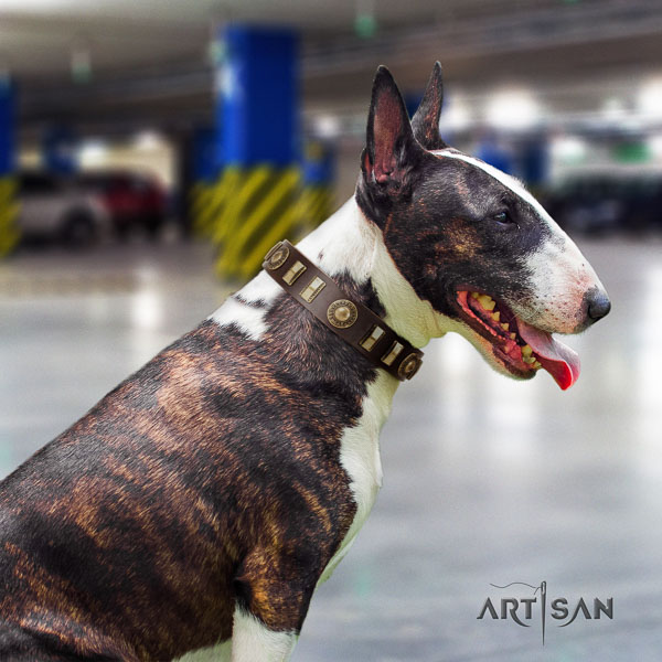Bull Terrier embellished leather dog collar with embellishments