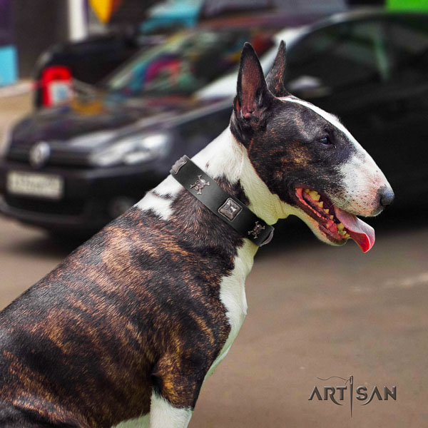 Bull Terrier everyday walking dog collar of top notch quality leather