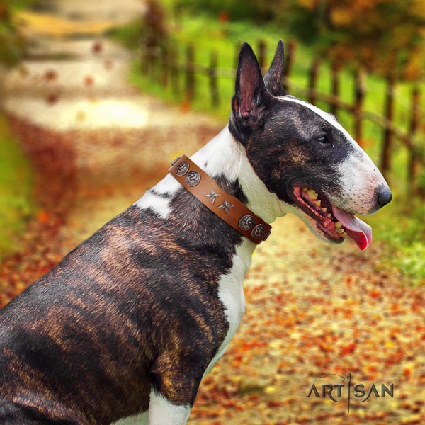Bull Terrier handy use dog collar of stylish leather
