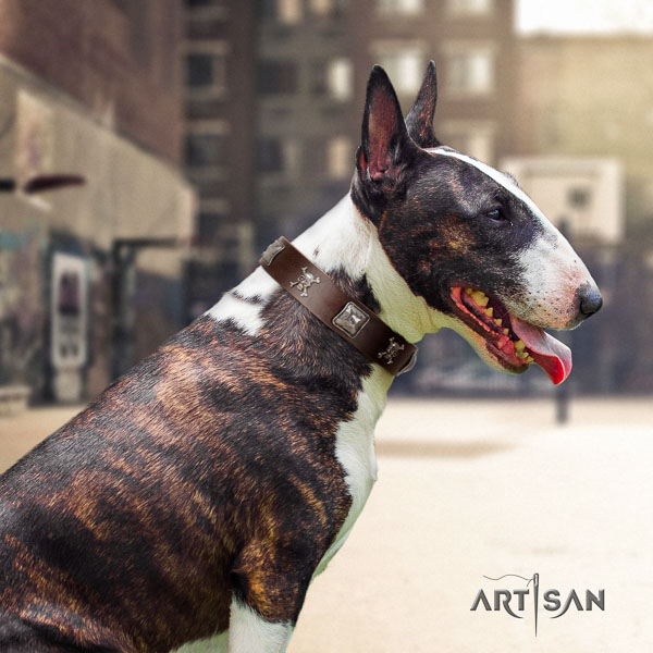 Bull Terrier comfy wearing dog collar of designer natural leather
