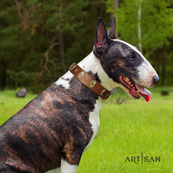 Bull Terrier stylish design leather dog collar with adornments