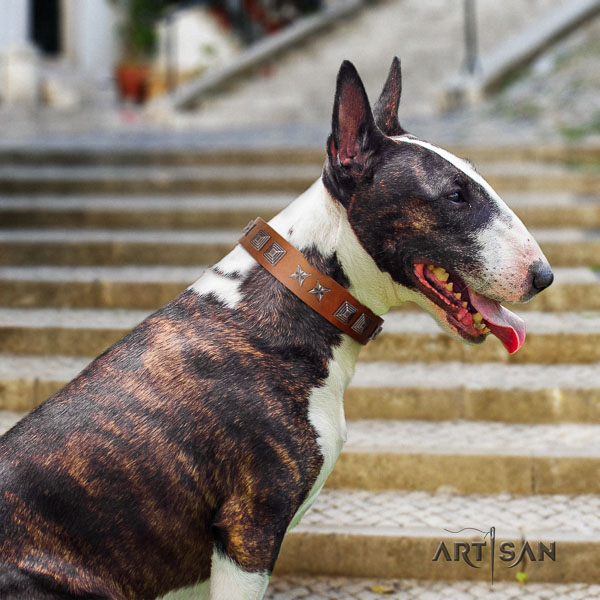 Bull Terrier daily use dog collar of remarkable quality natural leather