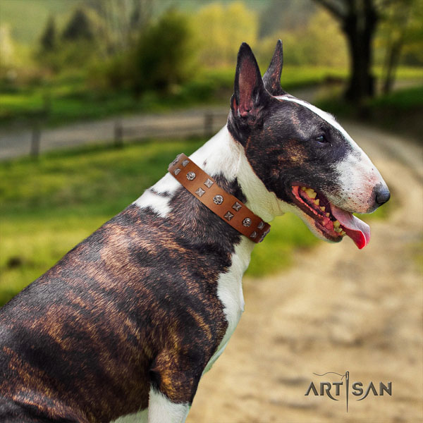 Bull Terrier everyday use dog collar of fashionable genuine leather
