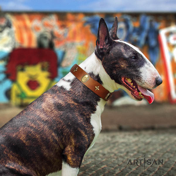 Bull Terrier everyday walking dog collar of incredible quality natural leather