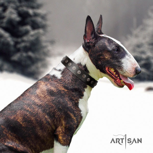 Bull Terrier fancy walking dog collar of stylish natural leather