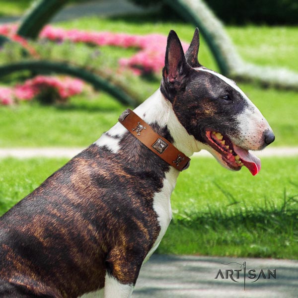 Bull Terrier handy use dog collar of soft genuine leather
