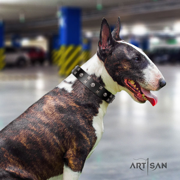 Bull Terrier stylish walking dog collar of exquisite quality leather