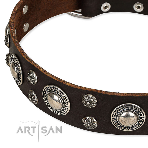 Easy to use leather dog collar with almost unbreakable rust-proof buckle