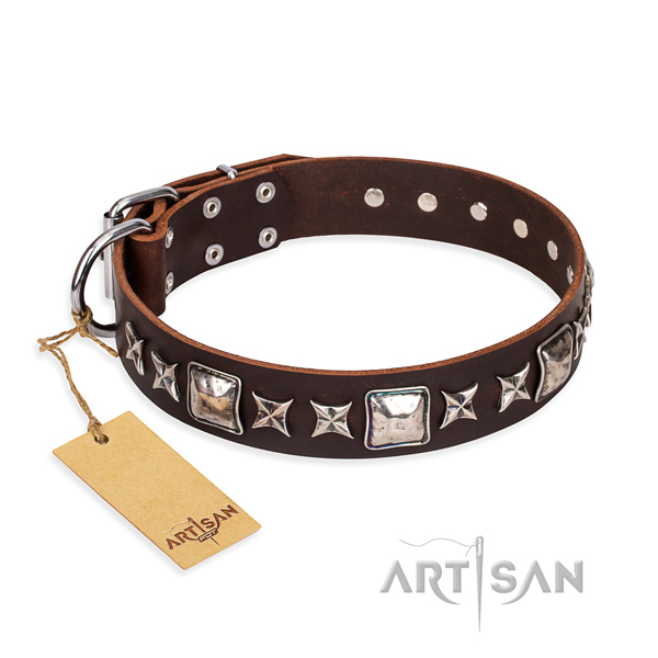 Exquisite leather dog collar for stylish walking