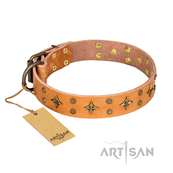 Fashionable leather dog collar for handy use