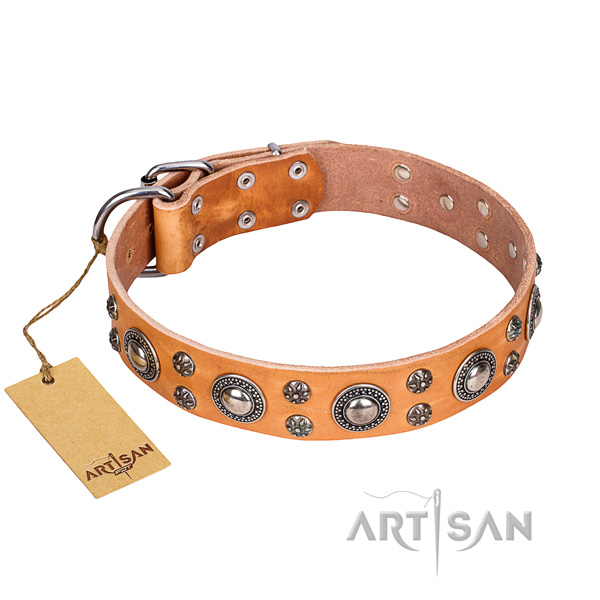 Stunning natural genuine leather dog collar for everyday walking