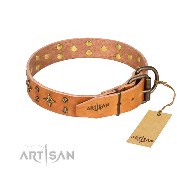 Daily walking genuine leather collar with adornments for your pet