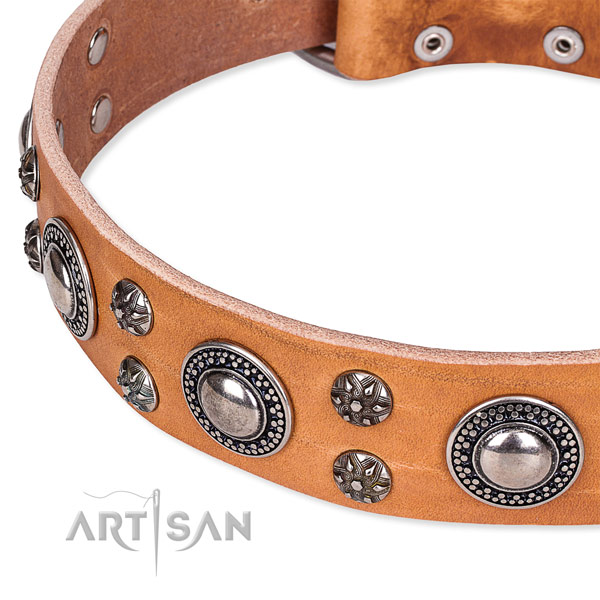 Everyday use full grain leather collar with durable buckle and D-ring