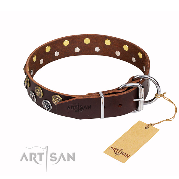 Daily use full grain leather collar with studs for your four-legged friend