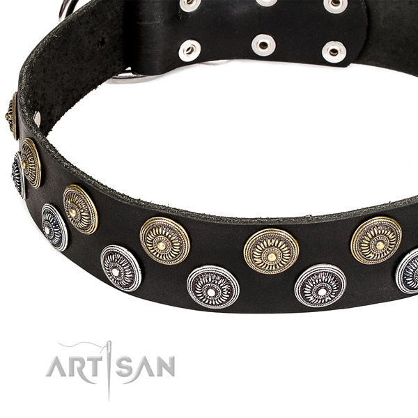 Natural genuine leather dog collar with stunning adornments