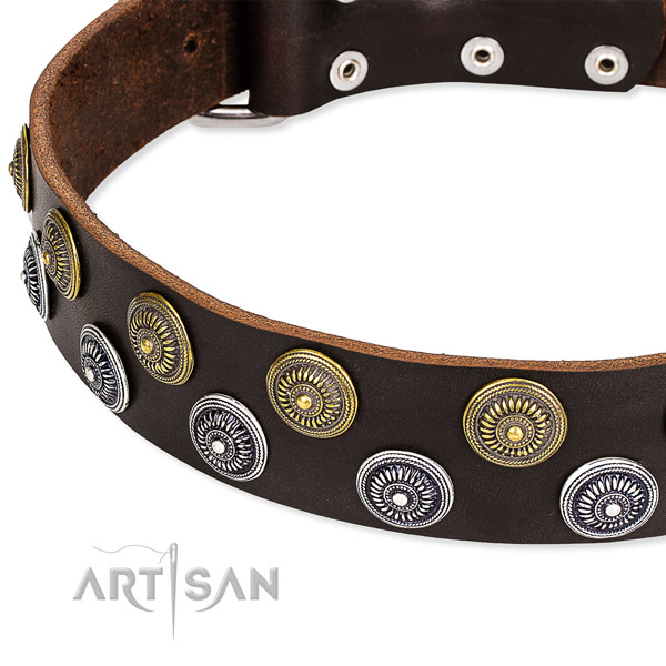 Genuine leather dog collar with amazing studs