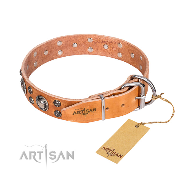 Handy use leather collar with embellishments for your canine