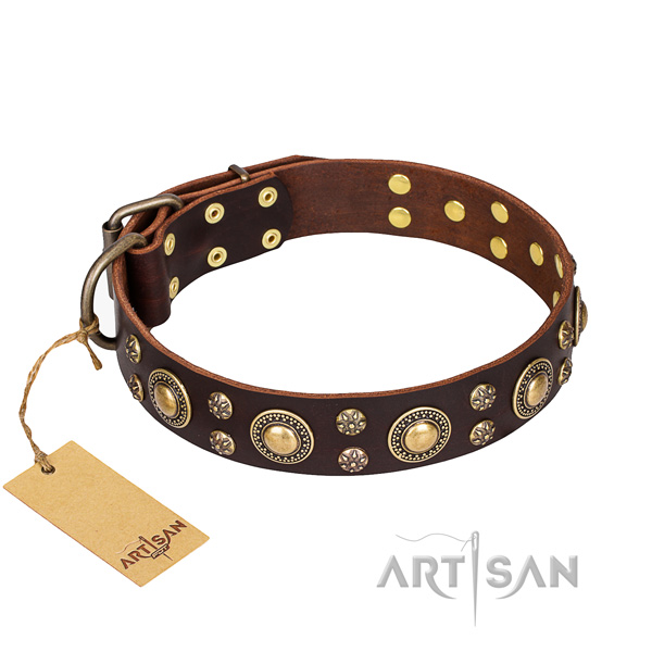 Unusual full grain genuine leather dog collar for stylish walking