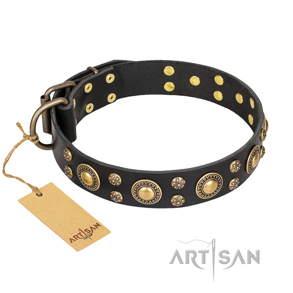 Trendy full grain genuine leather dog collar for stylish walking