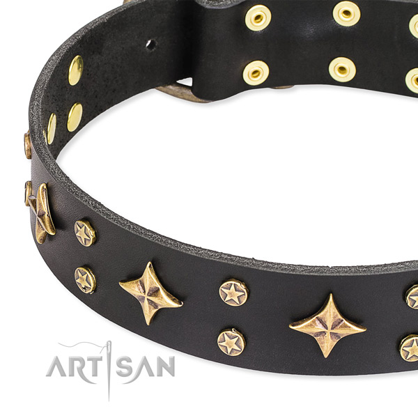 Full grain leather dog collar with exceptional adornments
